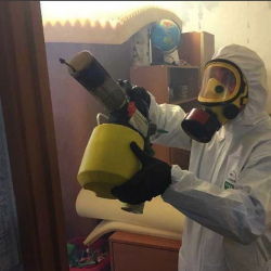 Уничтожение клопов в квартире. Капотня